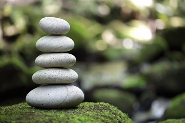 A stack of rocks sitting on top of a green bush.